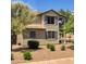 Two-story home showcasing blue shutters, neutral stucco, and low-maintenance desert landscaping at 1689 E Elgin St, Gilbert, AZ 85295