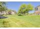 Well-maintained community greenbelt with mature trees and grassy areas, offering residents a serene outdoor space at 17970 N 114Th Ln, Surprise, AZ 85378