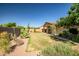 Beautiful backyard showcasing vibrant greenery, desert landscaping, and a covered patio for outdoor relaxation at 17985 W Ivy Ln, Surprise, AZ 85388
