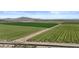 Aerial view of sprawling green farmland, and a distant mountain range against a blue sky at 19203 W Jackson St, Buckeye, AZ 85326