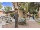 Outdoor community area with barbecue and picnic area at 3119 W Cochise Dr # 111, Phoenix, AZ 85051