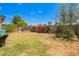 Landscaped backyard featuring drought-resistant plants, a grassy area, and a block wall at 3237 W Angela Dr, Phoenix, AZ 85053