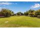 Spacious backyard with mature trees, lush green grass, and secure fencing, providing ample space for recreation at 645 S Esquire Way, Mesa, AZ 85202