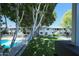 Relaxing community pool, lush lawn, and mature trees create a park-like atmosphere at 749 E Montebello Ave # 231, Phoenix, AZ 85014