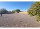 Spacious backyard with rock landscaping and mature trees at 7654 E Calypso Ave, Mesa, AZ 85208