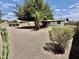 A large backyard includes gravel, mature trees, and palm at 8402 N 105Th Ln, Peoria, AZ 85345