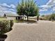 A large backyard includes gravel, mature tree, and patio at 8402 N 105Th Ln, Peoria, AZ 85345