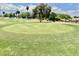 Beautiful golf course view showcasing lush green grass, mature trees, and a flag waving gently in the breeze at 8402 N 105Th Ln, Peoria, AZ 85345