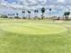 A vibrant golf course with meticulously maintained grounds, palm trees, and lush greens at 8402 N 105Th Ln, Peoria, AZ 85345