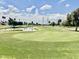 Scenic golf course view featuring lush green fairway, water feature, mature trees, and a blue flag waving in the breeze at 8402 N 105Th Ln, Peoria, AZ 85345