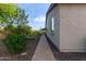 Inviting backyard with a brick path, lush landscaping, and a covered patio for relaxing or entertaining at 9231 W Bent Tree Dr, Peoria, AZ 85383
