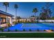 Backyard sports court that's the focal point of the landscaping featuring manicured greenery and elegant palm trees at 9733 E Clinton St, Scottsdale, AZ 85260