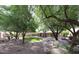 Expansive backyard oasis with mature trees offering ample shade and serene desert landscaping at 11034 W Sierra Pinta Dr, Peoria, AZ 85373