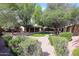 Tranquil backyard setting with green turf, mature shade trees and desert landscaping at 11034 W Sierra Pinta Dr, Peoria, AZ 85373