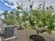 Backyard view showcasing young trees and an air conditioning unit at 120 N Val Vista Dr # 151, Mesa, AZ 85213