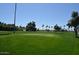 Expansive green golf course with mature trees and blue skies, ideal for outdoor recreation at 120 N Val Vista Dr # 151, Mesa, AZ 85213