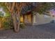 Charming backyard featuring drought tolerant landscaping, tree and stucco exterior at 1260 E Sweet Citrus Dr, Queen Creek, AZ 85140
