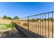 View of metal backyard fence with greenery, desert landscaping, and houses in the distance at 1277 W Stephanie Ln, San Tan Valley, AZ 85143