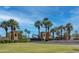Entrance to a gated community enhanced with palm trees and lush landscaping at 12934 W Chapala Dr, Sun City West, AZ 85375