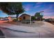 Corner lot showcasing desert landscaping and mature shade trees at 15245 W Crocus Dr, Surprise, AZ 85379