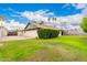 Large backyard with well-maintained lawn, privacy hedges, and block fence at 15424 N 52Nd Pl, Scottsdale, AZ 85254