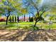 Expansive backyard with lush green lawn, mature trees, and a charming fence at 15602 N 37Th St, Phoenix, AZ 85032