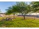 Spacious backyard with mature trees, green grass, and a metal fence enclosing a horse property at 15602 N 37Th St, Phoenix, AZ 85032