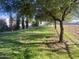 Spacious backyard with mature trees providing shade and a well-maintained lawn at 15602 N 37Th St, Phoenix, AZ 85032