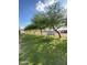 Pastoral horse facilities with green grass and shade trees at 15602 N 37Th St, Phoenix, AZ 85032