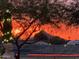 Scenic sunset view with silhouetted trees and distant mountains, creating a peaceful ambiance at 15602 N 37Th St, Phoenix, AZ 85032