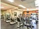 Well-equipped fitness center featuring treadmills, elliptical machines, and weight training equipment at 17718 N Desert Flower Trl, Surprise, AZ 85374