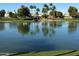 Picturesque view of the pond, lined with a golf course and lush palm trees in the distance at 17718 N Desert Flower Trl, Surprise, AZ 85374
