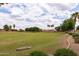 Expansive community greenspace and common area, perfect for recreation and enjoying the outdoors at 345 S Buena Vista Ave, Gilbert, AZ 85296