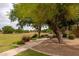 Scenic walking path featuring lush landscaping, mature trees, and a comfortable bench for relaxation at 345 S Buena Vista Ave, Gilbert, AZ 85296