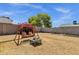 Backyard featuring a wooden swing and seating area with a decorative fire pit at 3709 W Grovers Ave, Glendale, AZ 85308