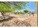 Expansive backyard with lush trees, a cozy hammock, a sparkling pool, and serene lounging area at 4836 S Covalent Ln, Mesa, AZ 85212