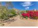 Brick driveway leads to a stunning home with beautifully landscaped surroundings at 8031 N 54Th St, Paradise Valley, AZ 85253