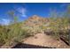 Scenic desert landscape view with native vegetation and mountain backdrop under a clear blue sky at 8031 N 54Th St, Paradise Valley, AZ 85253