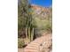 Landscaped walkway with brick stairs leads up the mountain, surrounded by cacti and desert vegetation at 8031 N 54Th St, Paradise Valley, AZ 85253