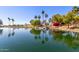 Beautiful pond with lush greenery and mature trees surrounding it at 150 N Nielson St, Gilbert, AZ 85234