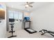 Bright bedroom features modern ceiling fan, a stationary bike, treadmill and mounted television at 22023 N 28Th Pl, Phoenix, AZ 85050