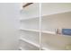 Walk-in pantry with painted white shelving at 2511 W Queen Creek Rd # 374, Chandler, AZ 85248
