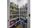 Walk-in pantry filled with shelves and ample storage space for food and household items at 2751 N Ralston Rd, Maricopa, AZ 85139