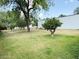 Expansive backyard featuring lush grass and mature trees, creating a serene outdoor space at 3215 W Orangewood Ave, Phoenix, AZ 85051