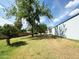 Expansive backyard featuring lush grass and a workshop, offering plenty of outdoor space at 3215 W Orangewood Ave, Phoenix, AZ 85051