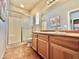 Well-lit bathroom featuring a shower and vanity with wooden drawers at 36721 N 17Th Ave, Phoenix, AZ 85086