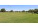 Large grassy field perfect for outdoor activities, with mature trees and sports lighting at 4609 E Monte Cristo Ave, Phoenix, AZ 85032
