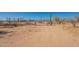 An iron gate marks the entrance to the property, framed by desert vegetation at 54073 W Stallion Rd, Maricopa, AZ 85139