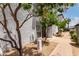 Exterior of property features a stucco wall, mature trees, and sidewalk leading to the front entrance at 6348 N 7Th Ave # 6, Phoenix, AZ 85013