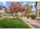 Lush community grounds with mature pink flowering tree and manicured landscaping at 9600 N 96 Th St # 130, Scottsdale, AZ 85258